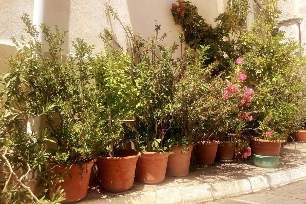 Casa Rubi Townhouse Lanjaron Exterior photo